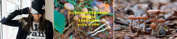 герыч Алексин