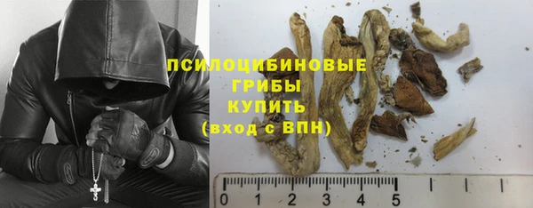 герыч Алексин