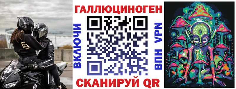 Галлюциногенные грибы Psilocybe  Алексин 